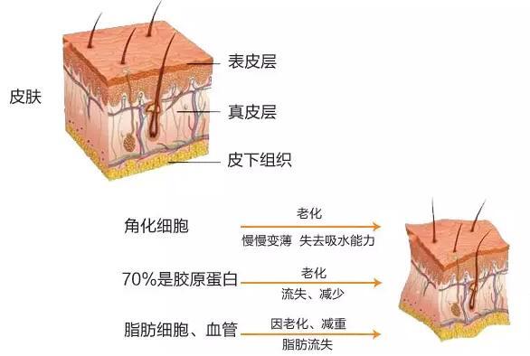 b50c9489dd28498a8f54a30ab8c4a292_th.jpg